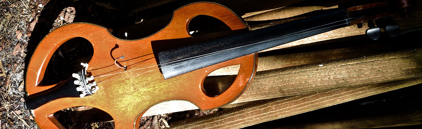 Violin